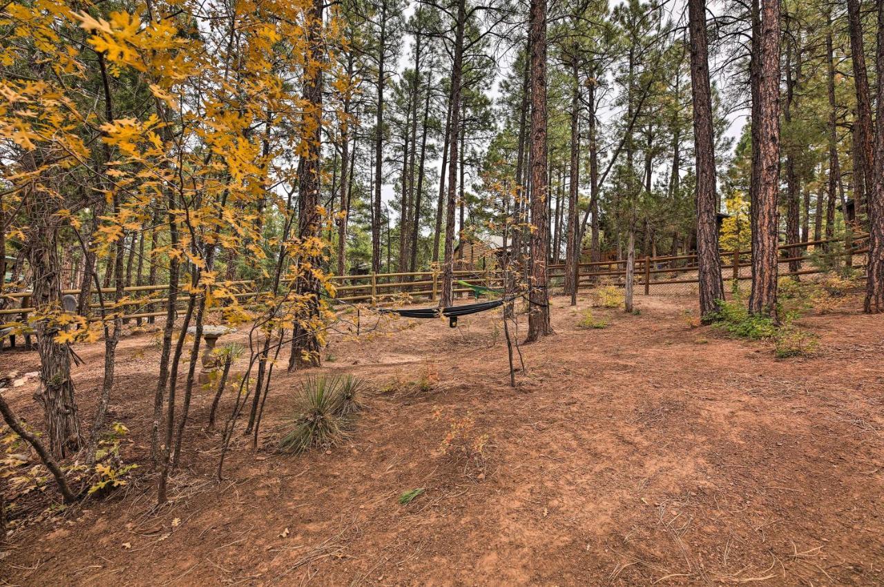 Pet-Friendly Show Low Cabin With Trail Access! Dış mekan fotoğraf
